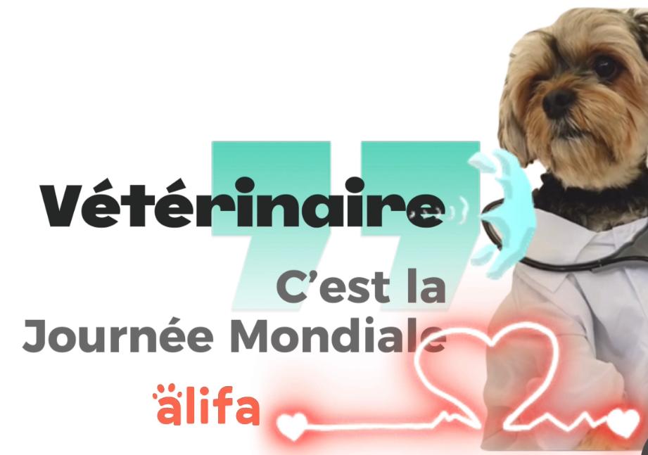 C'est la journée mondiale vétérinaire : le 29 avril 2023.