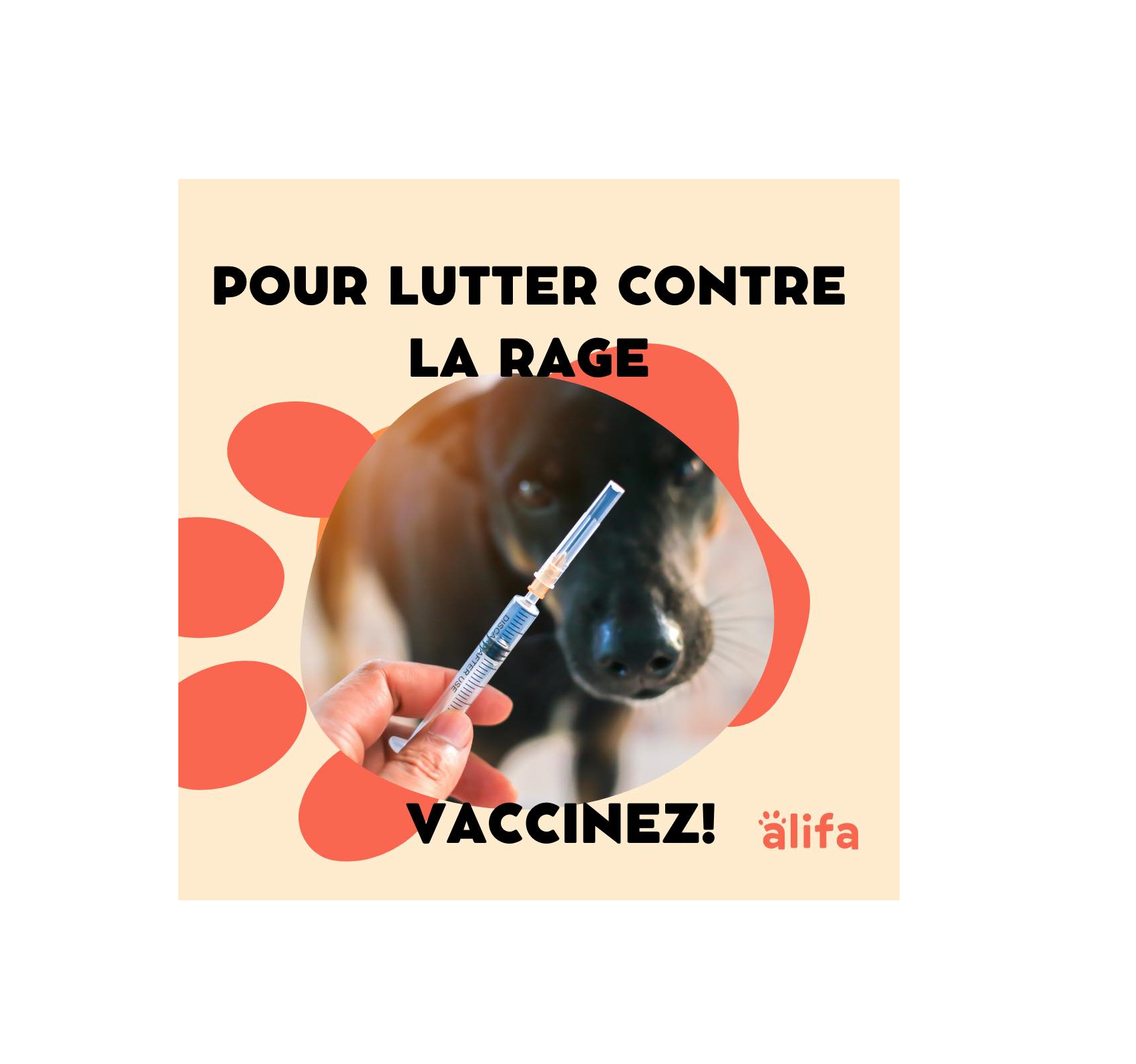La Rage Animale en Tunisie : Une Responsabilité Collective à Honorer